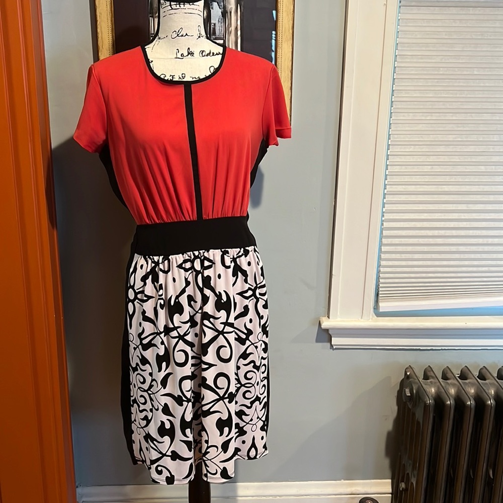 Narcisco Rodriguez for Design Nation Dress (8)